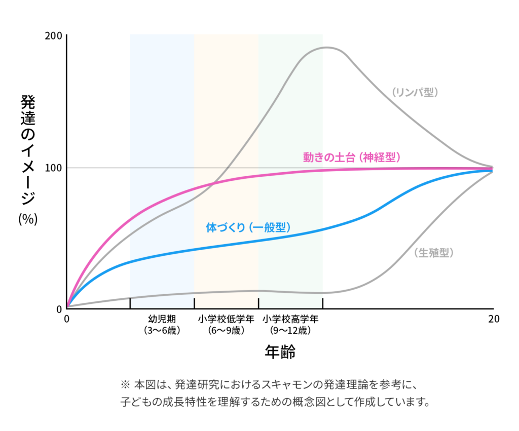 幼児から小学生までの成長特性を示した発達曲線（スキャモンの発達理論をもとにした概念図）